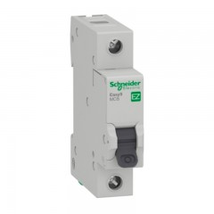 INTERRUPTOR AUTOMATICO 1P 20A 6K