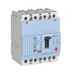 INTERRUPTOR CAJA MOLDEADA 4P 100A 30K DWB160